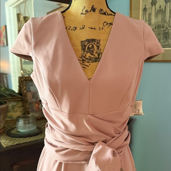 Dress the Population “Dana” Shirred Waist Dress in Light Mauve Size Medium NWT - Picture 3 of 16